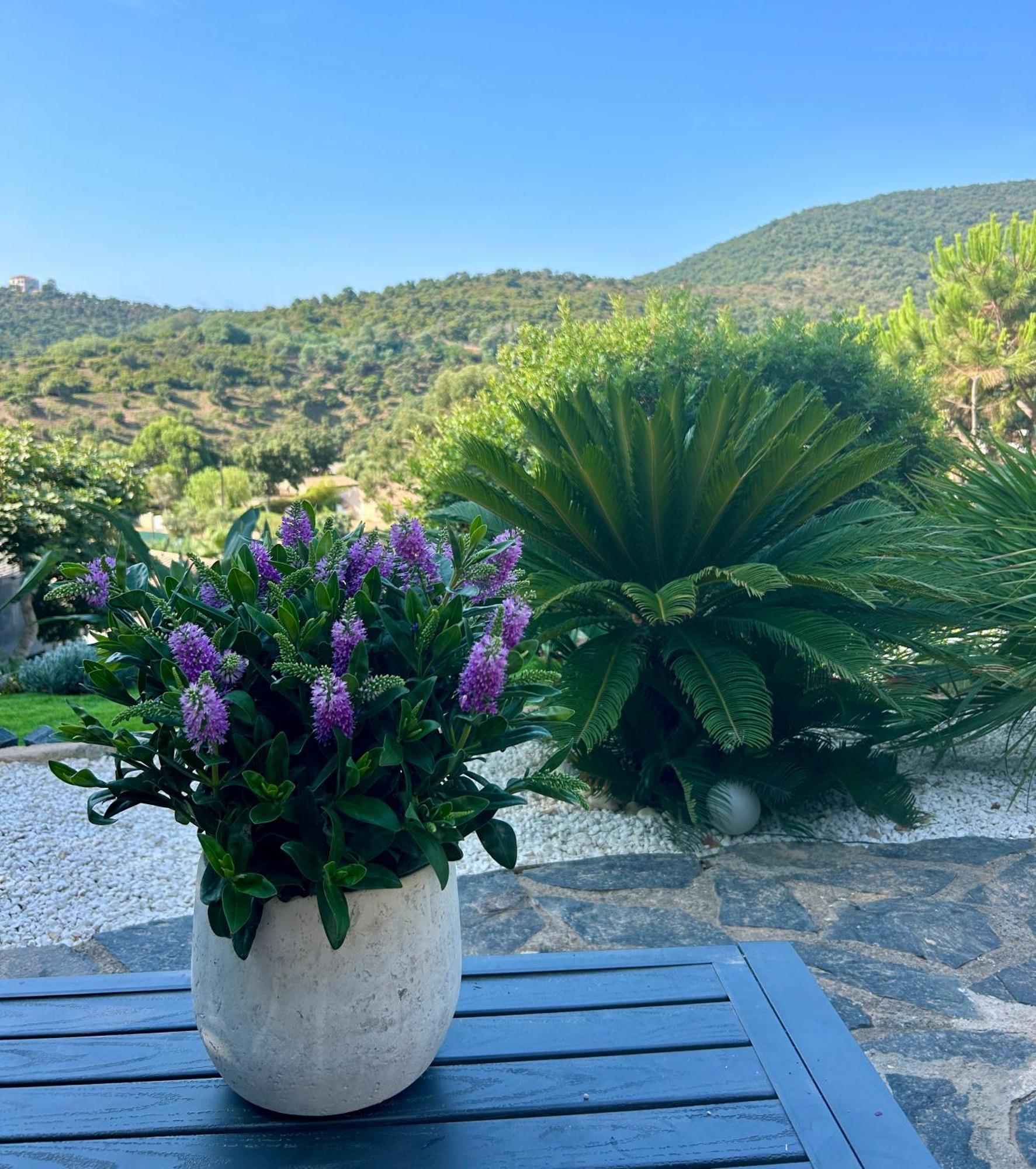 Belle Chambre Privee Avec Le Jardin Privatif Et Le Jacuzzi Cavalaire-sur-Mer Esterno foto